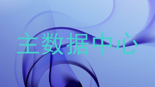 主数据中心