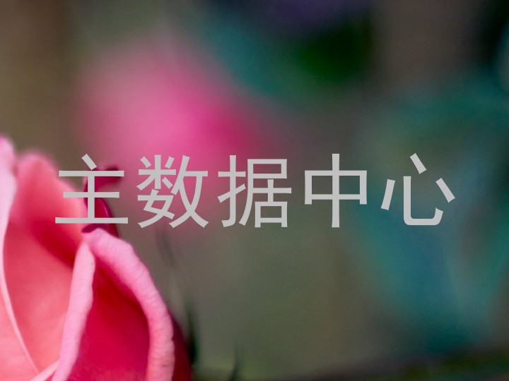 主数据中心