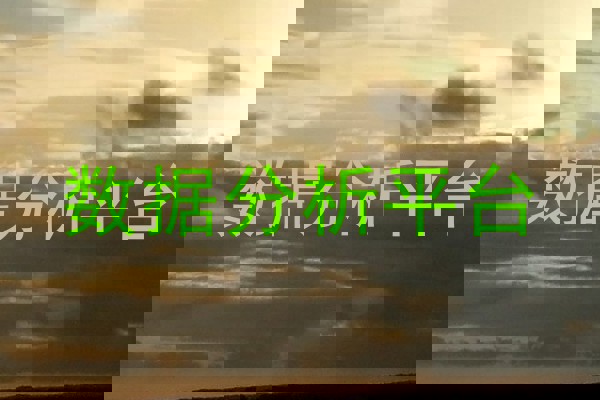 数据分析平台
