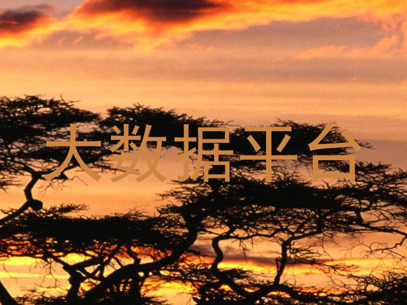 大数据平台