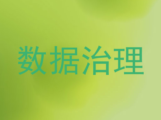 数据治理