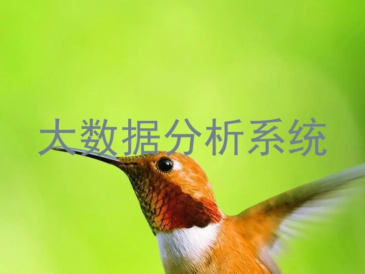 大数据分析系统