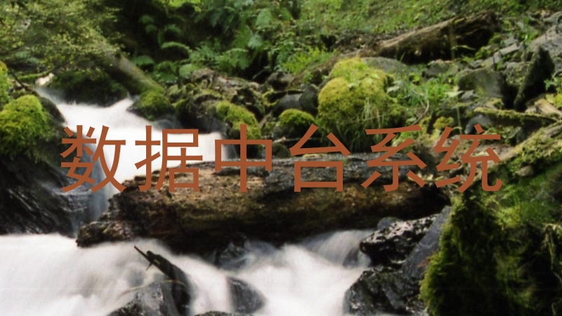 数据中台系统