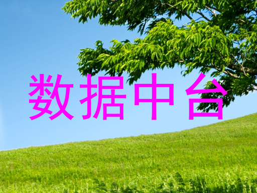 数据中台