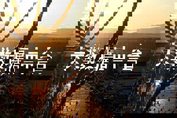 大数据中台
