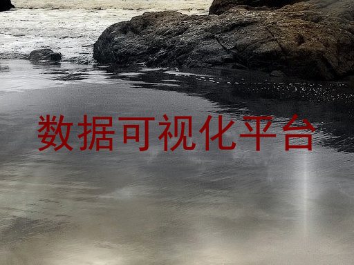 数据可视化平台