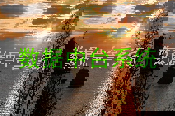 数据中台系统