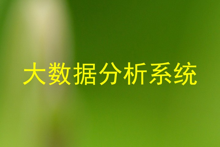 大数据分析系统