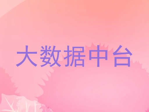 大数据中台