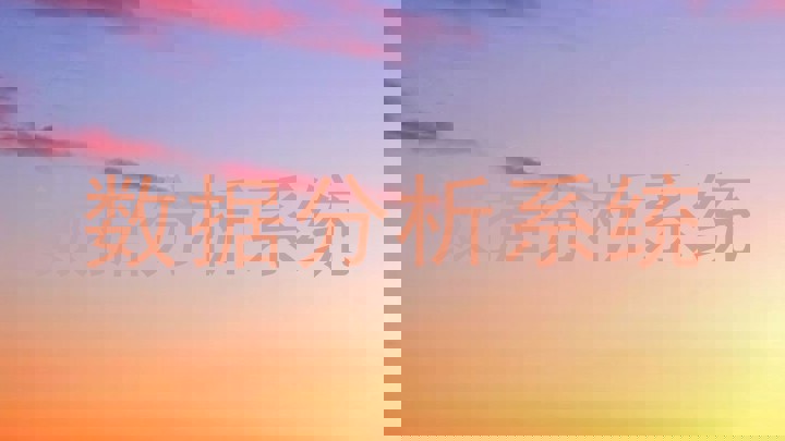 数据分析系统