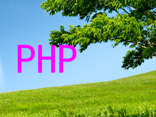 PHP