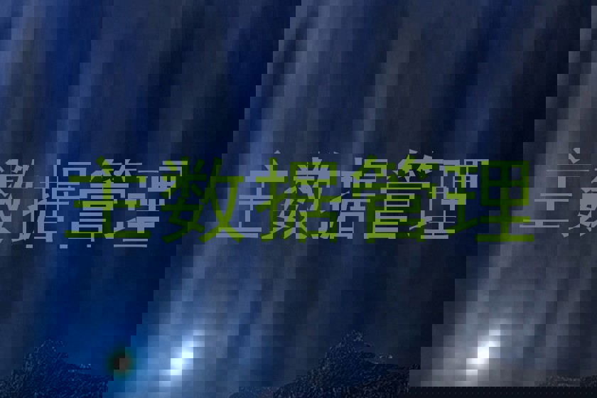 主数据管理