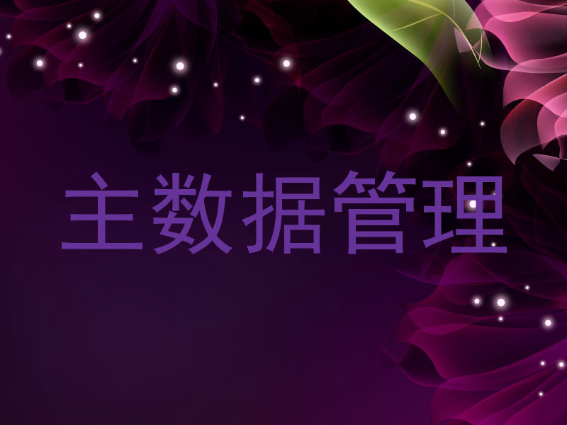 主数据管理