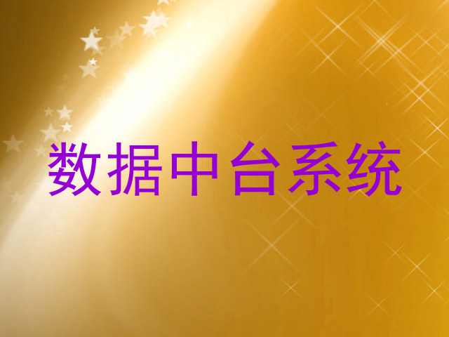数据中台系统