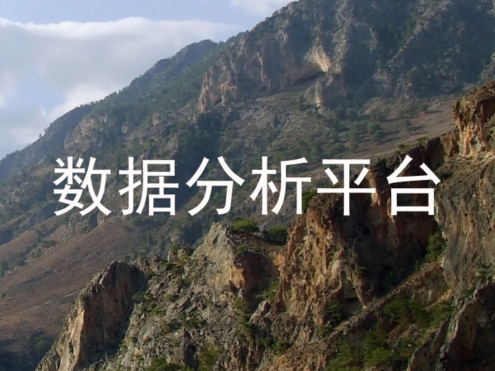 数据分析平台