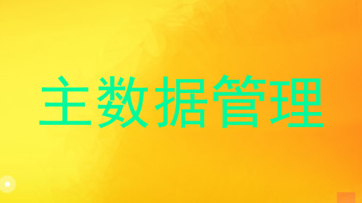 主数据管理