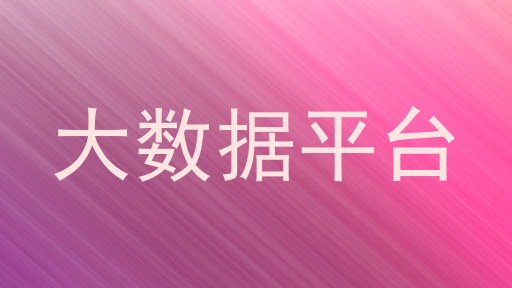 大数据平台
