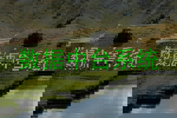 数据中台系统