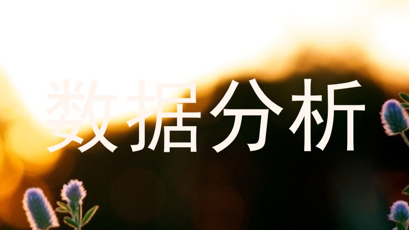 数据分析