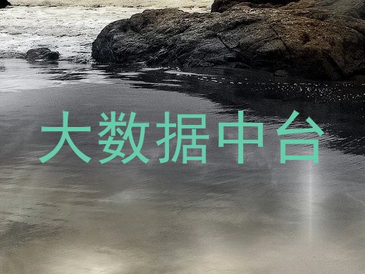 大数据中台