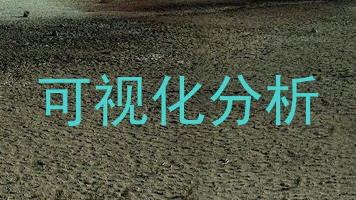 可视化分析