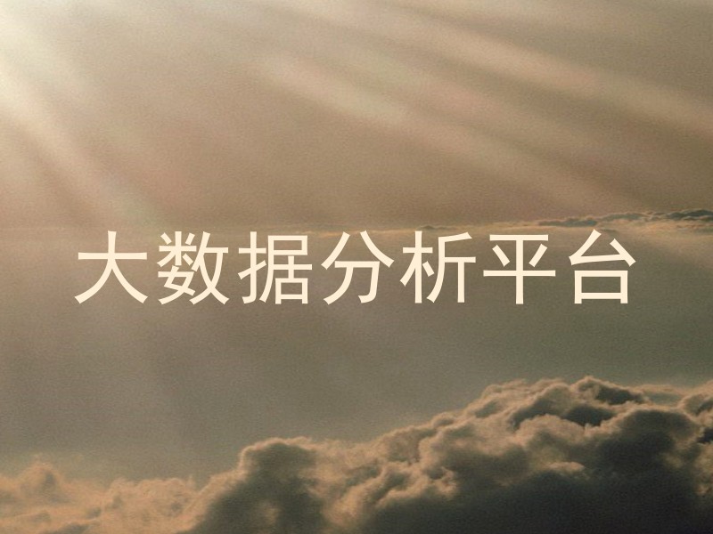 大数据分析平台
