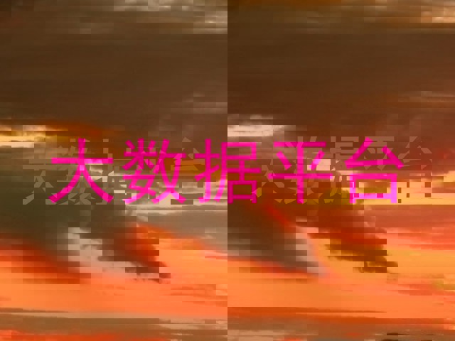 大数据平台