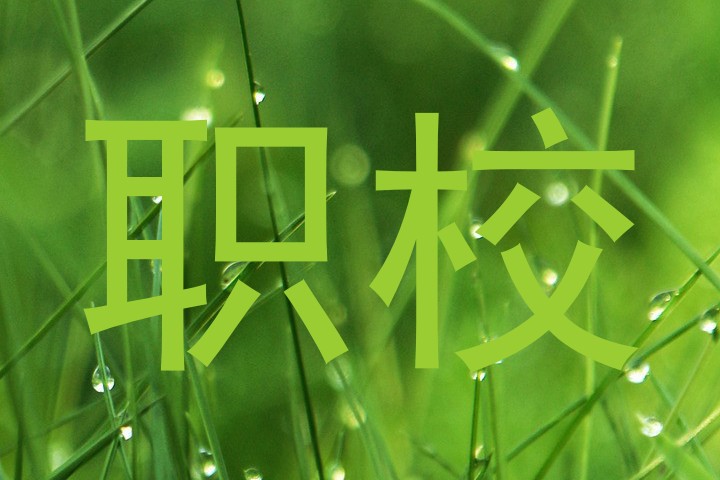 职校