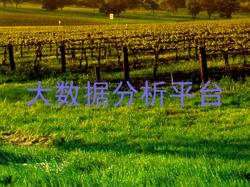 大数据分析平台