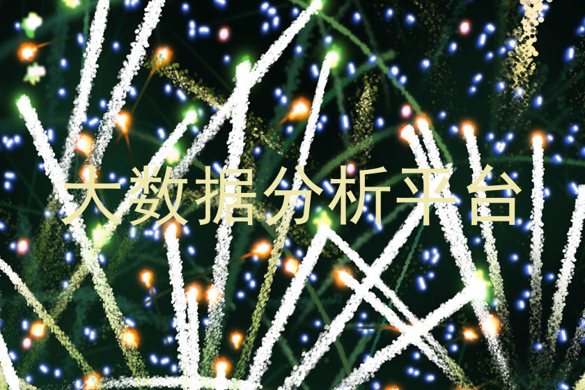 大数据分析平台