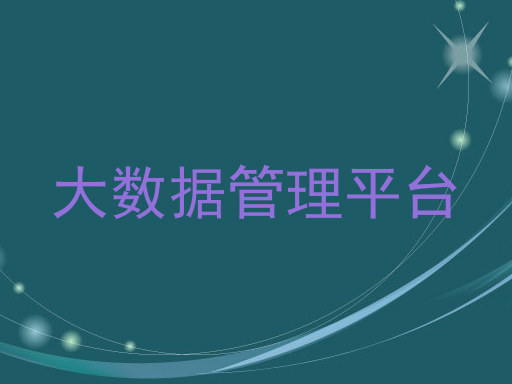 大数据管理平台