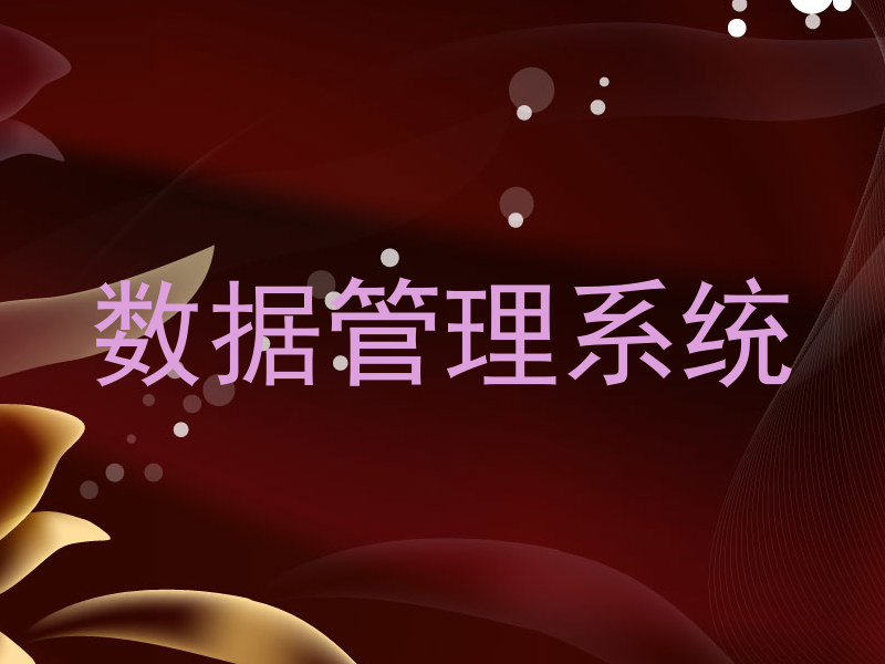 数据管理系统