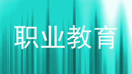 职业教育