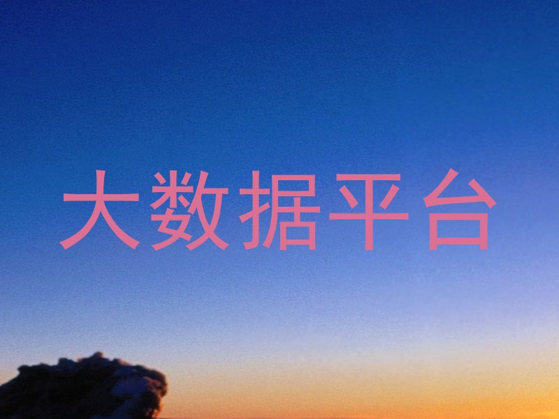 大数据平台
