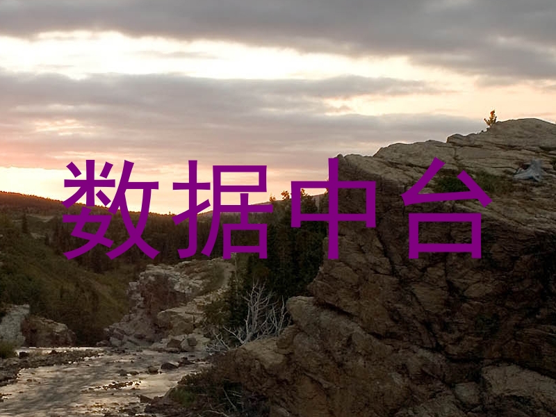 数据中台