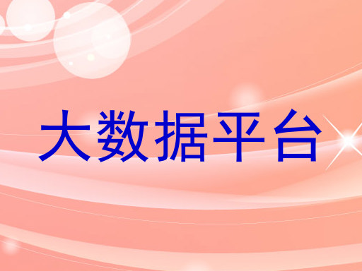 大数据平台