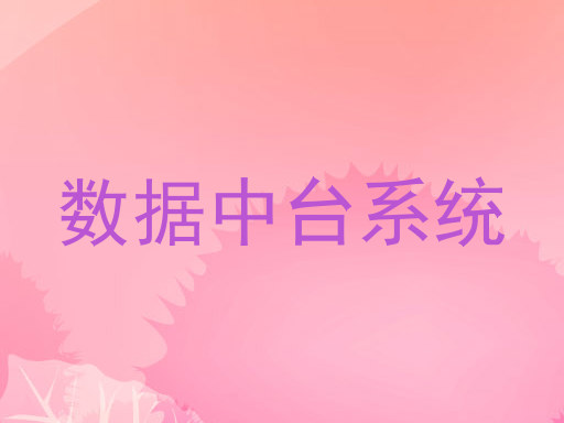 数据中台系统