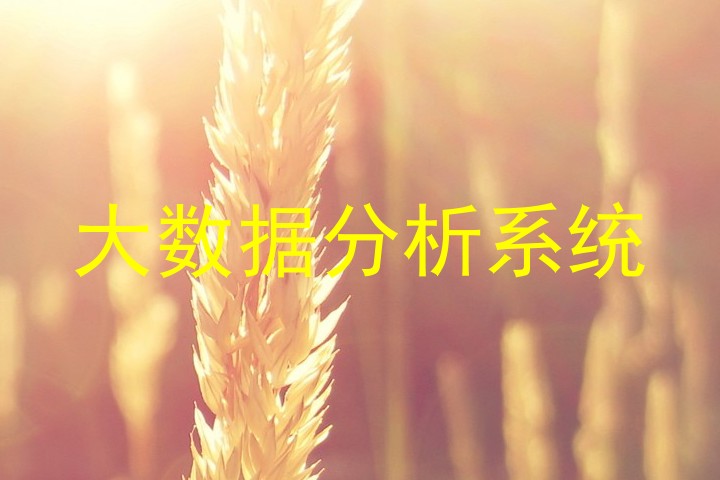 大数据分析系统