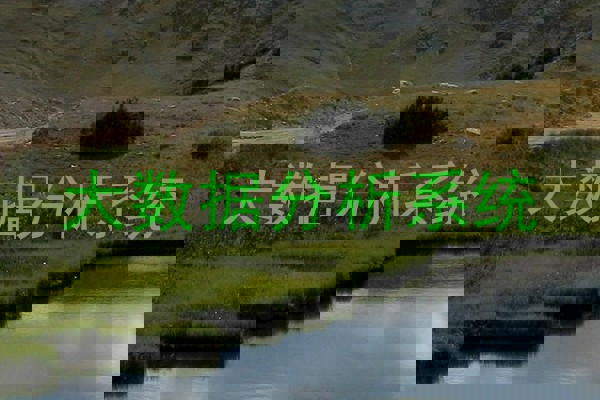 大数据分析系统