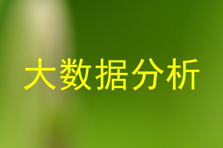 大数据分析