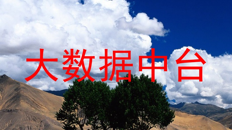 大数据中台