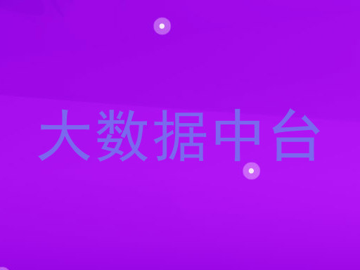 大数据中台