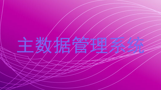 主数据管理系统