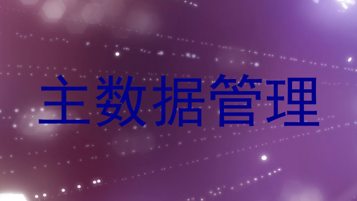 主数据管理