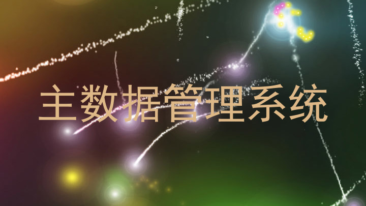 主数据管理系统