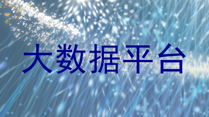 大数据平台
