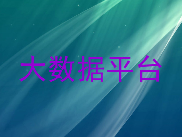 大数据平台