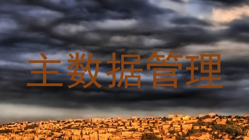 主数据管理