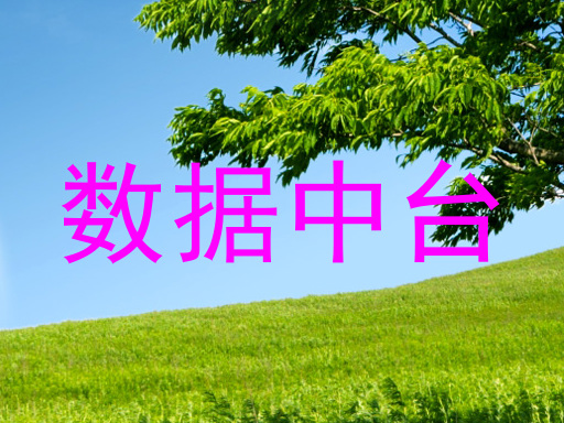 数据中台