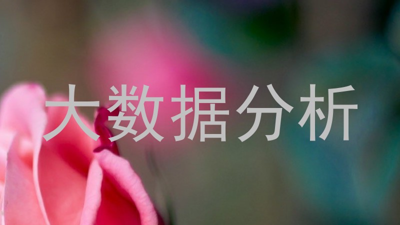 大数据分析